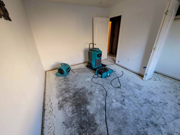 Best Flood damage cleanup  in Albany, MO