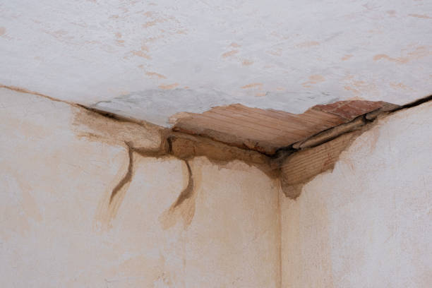 Best Water damage restoration mold remediation  in Albany, MO