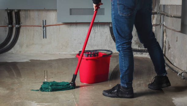 Best Flood restoration services  in Albany, MO