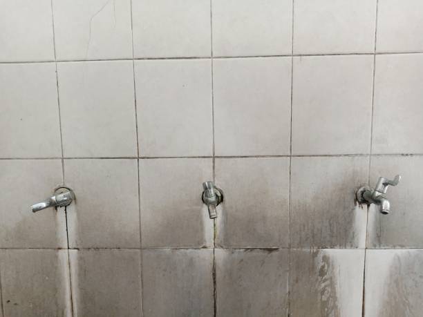 Best Water damage restoration experts  in Albany, MO