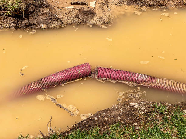 Best Water damage contractors near me  in Albany, MO