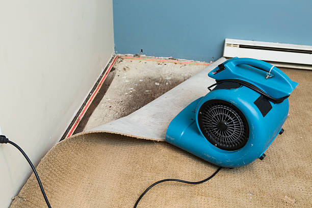 Best 24-hour water damage restoration  in Albany, MO